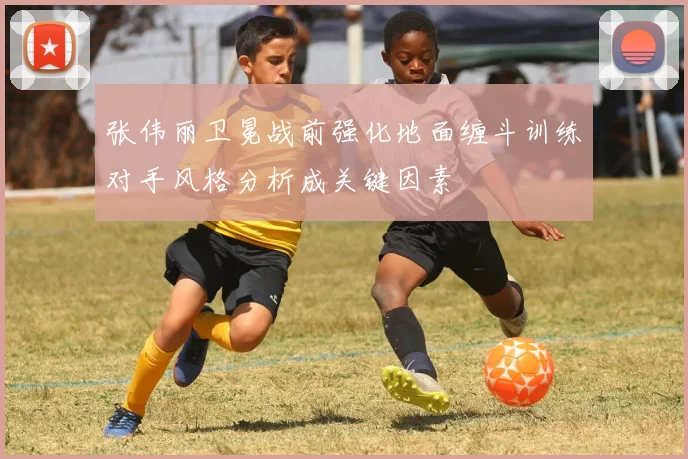 张伟丽卫冕战前强化地面缠斗训练对手风格分析成关键因素