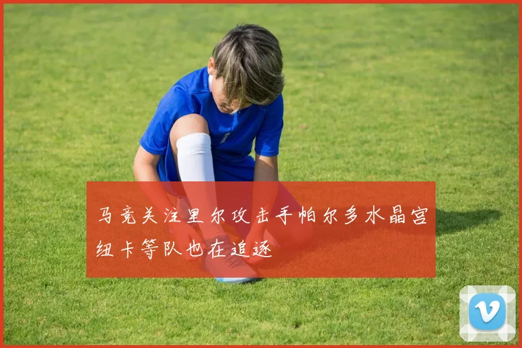 马竞关注里尔攻击手帕尔多水晶宫纽卡等队也在追逐